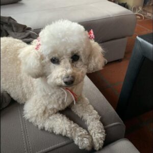 Lucía
