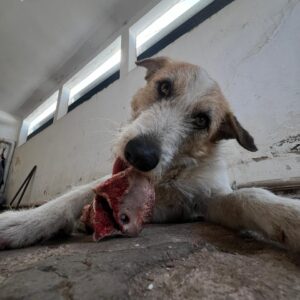 RUFIAN