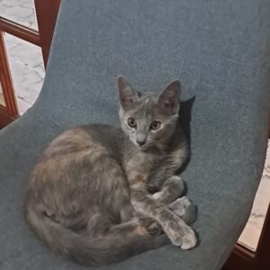 Luna
