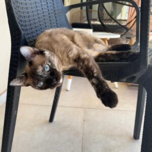 RUBI